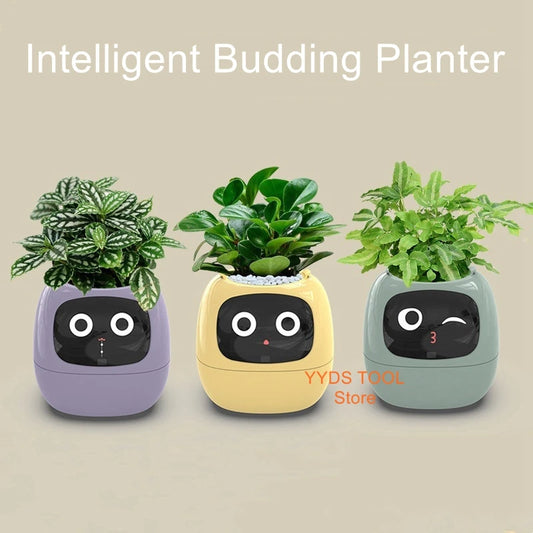 Automatic water-absorbing flower pots environmental