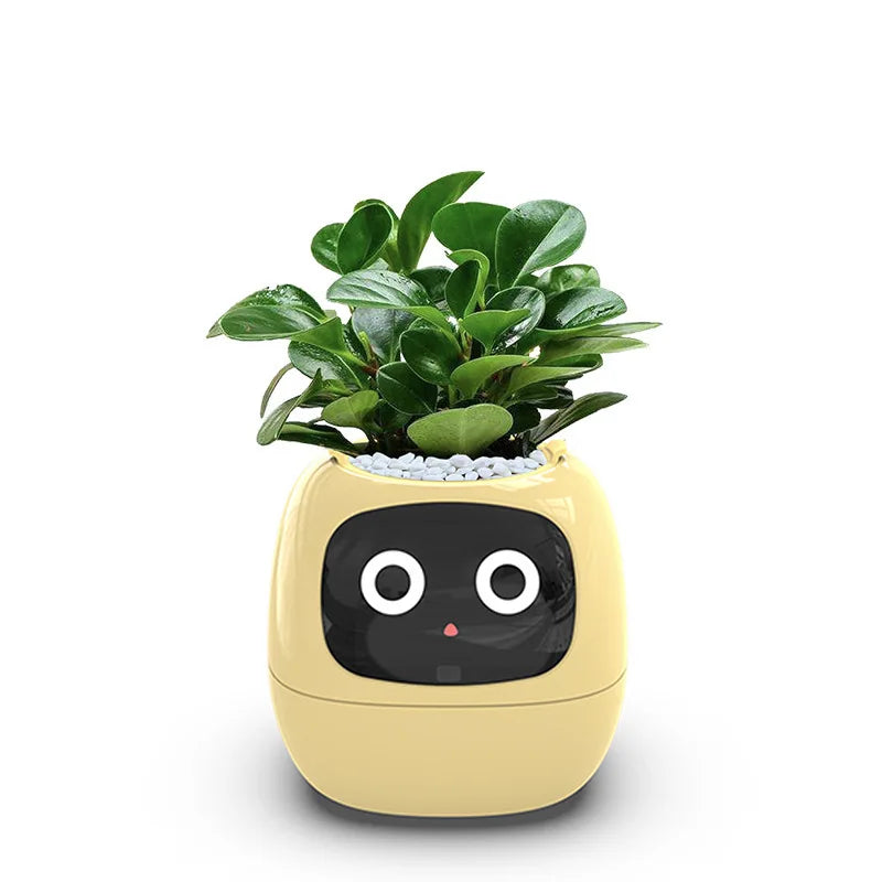 Automatic water-absorbing flower pots environmental