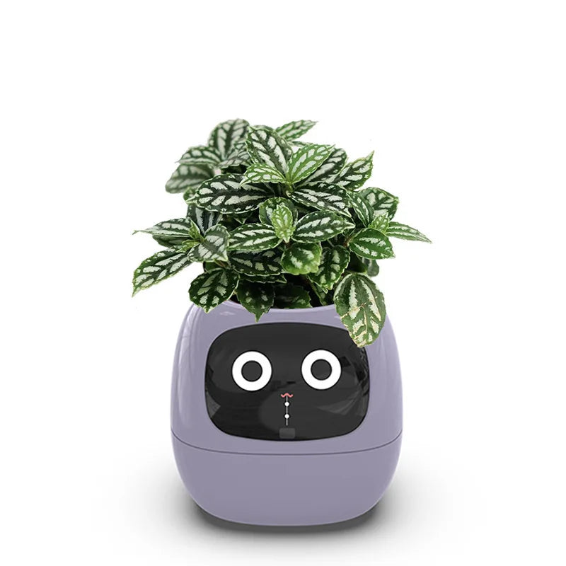 Automatic water-absorbing flower pots environmental