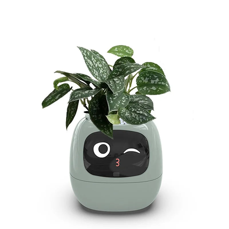 Automatic water-absorbing flower pots environmental