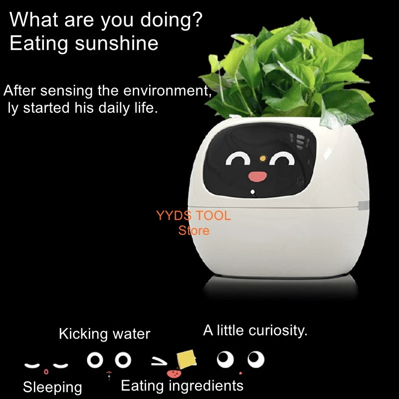 Automatic water-absorbing flower pots environmental