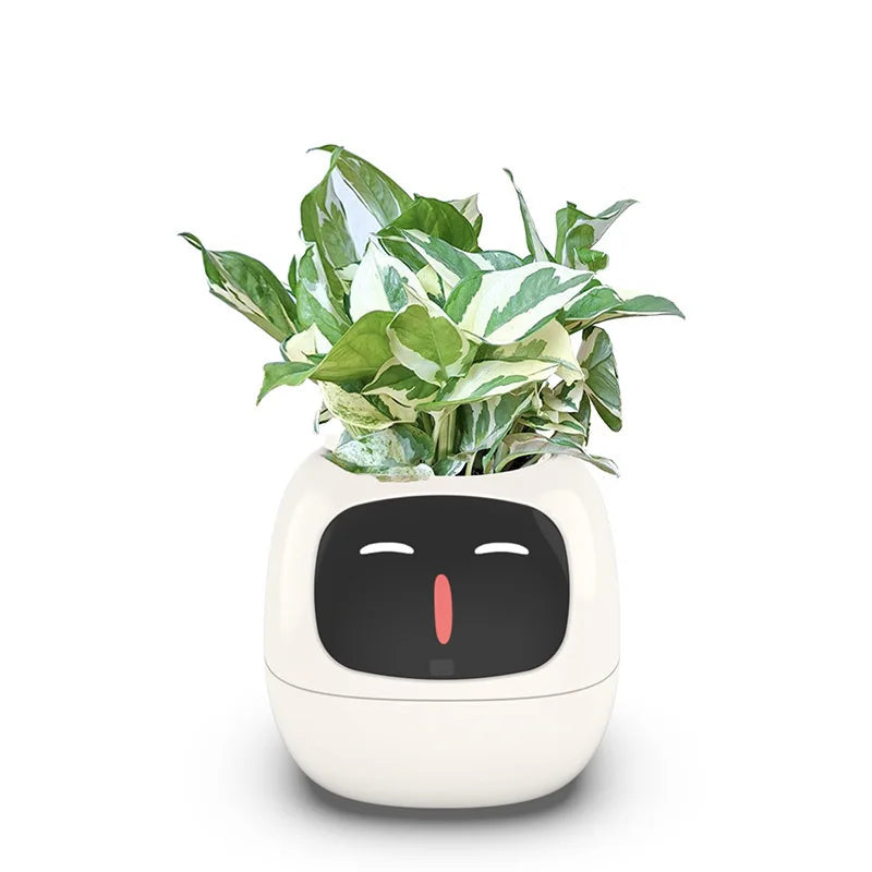 Automatic water-absorbing flower pots environmental