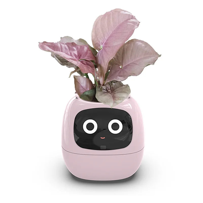 Automatic water-absorbing flower pots environmental